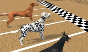 Khám Phá Game Nhanh Đua Chó Tại 789P: Hấp Dẫn Và Kịch Tính