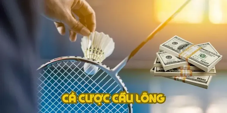 Khám Phá Cá Cược Cầu Lông Tại 789P: Hành Trình Giải Trí Đỉnh Cao